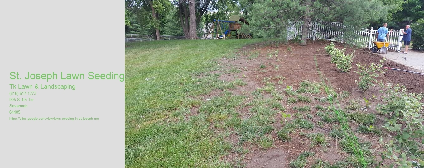 St. Joseph Lawn Seeding