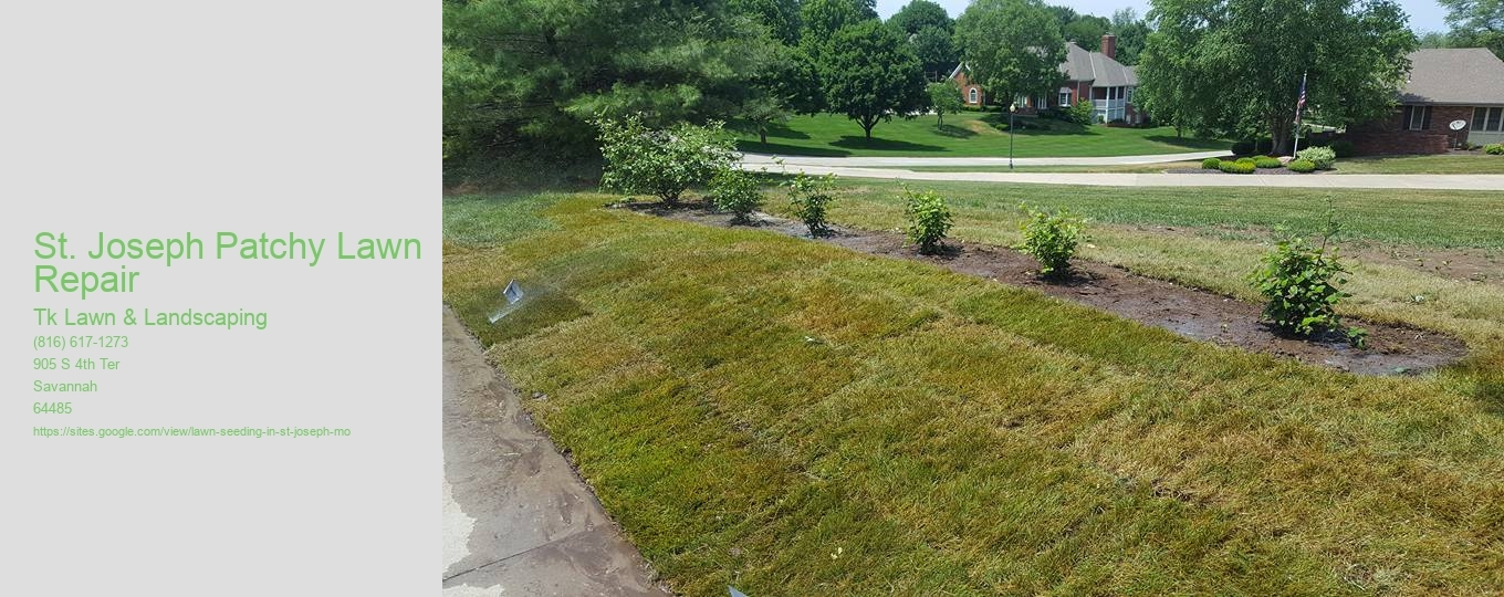 St. Joseph Patchy Lawn Repair